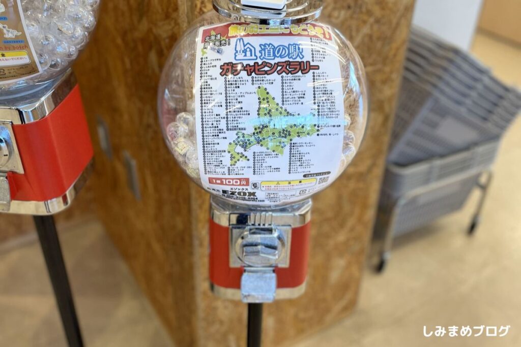 北海道 道の駅でピンズ集め｜旅先の記念におすすめ～ガチャピンズ 
